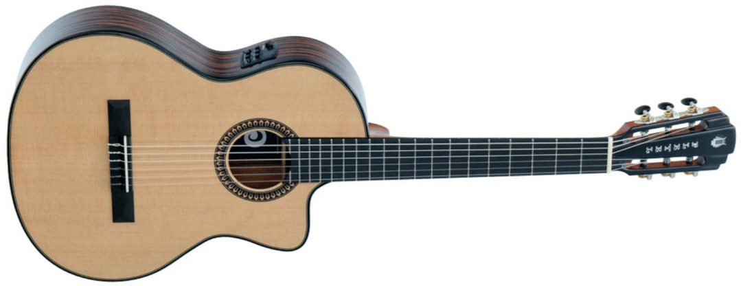Pleyel Audio P800ce Expression Electro Epicea Ebene Br - Natural - Guitare Classique Format 4/4 - Main picture