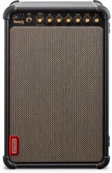 Ampli guitare électrique combo  Positive grid Spark Live Combo