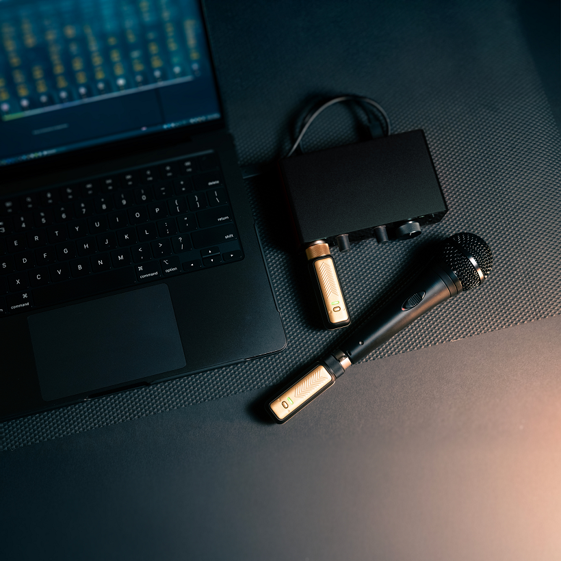 Positive Grid Spark Link Xlr - Ensemble Émetteur RÉcepteur Hf - Variation 5