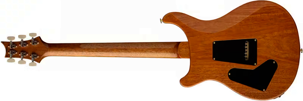 Prs Custom 24-08 Usa 2h Tci Trem Rw - Aurora Borealis - Guitare Électrique Double Cut - Variation 1