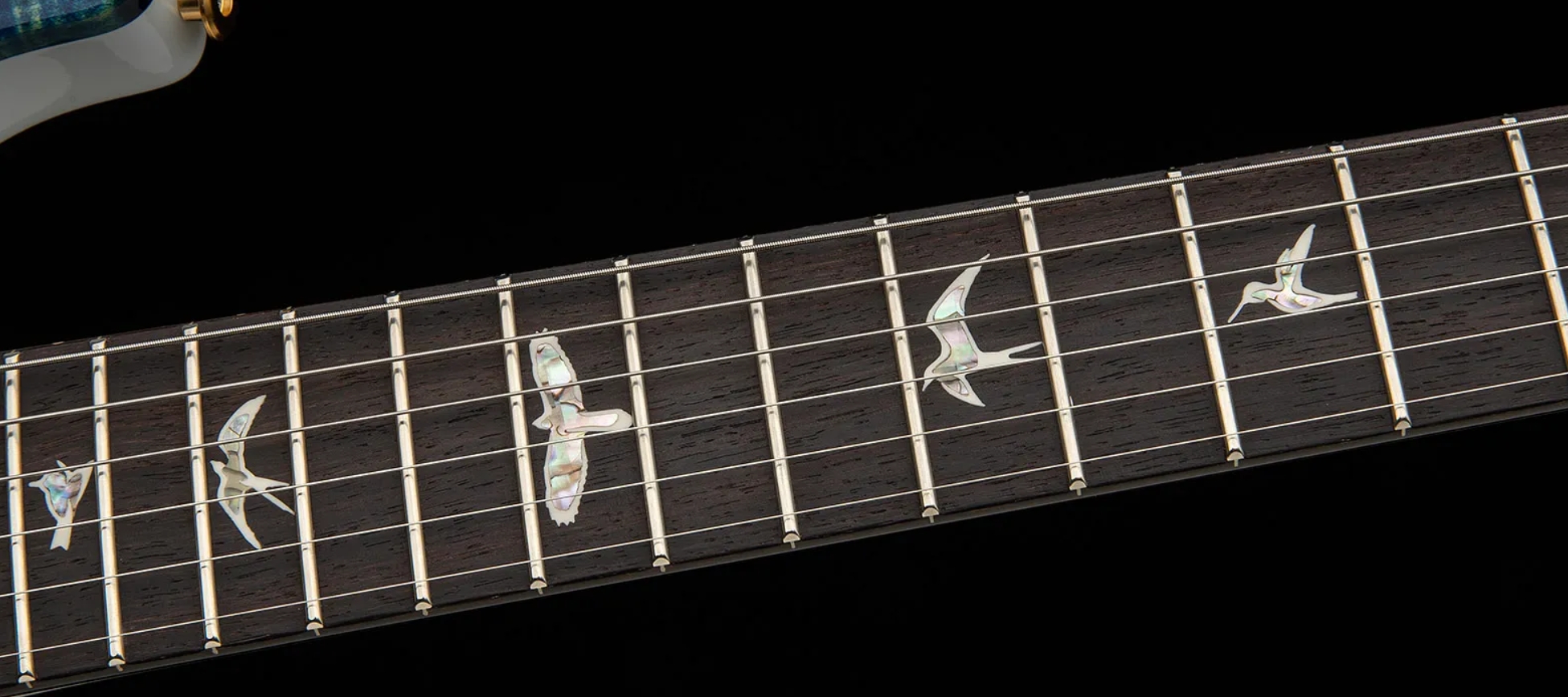 Prs Custom 24-08 Usa 2h Tci Trem Rw - River Blue Pearl - Guitare Électrique Double Cut - Variation 4