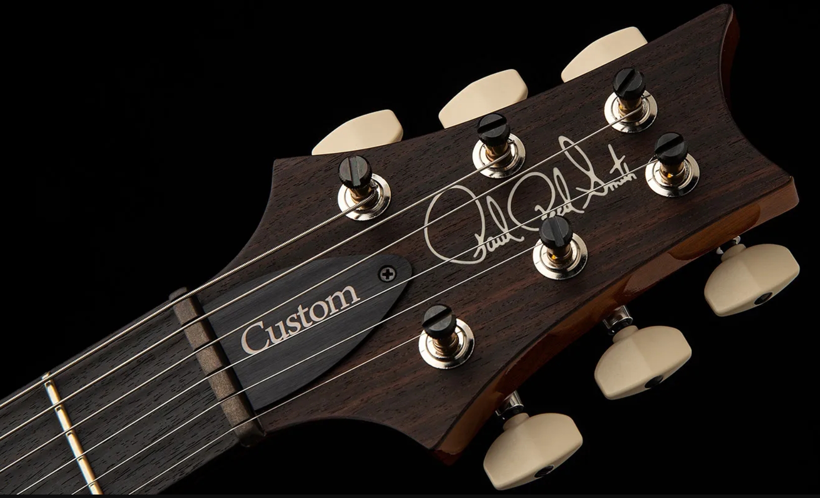 Prs Custom 24 Usa 2h Dmo Trem Rw - Gray Black - Guitare Électrique Double Cut - Variation 7