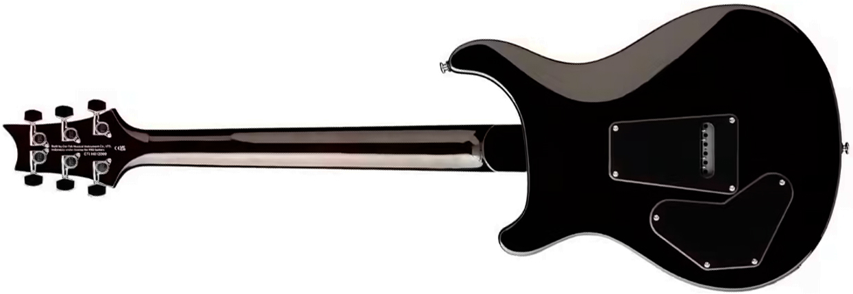 Prs David Grissom Dgt Se Signature 2h Trem Rw - Gold Top Moon Inlays - Guitare Électrique Double Cut - Variation 1