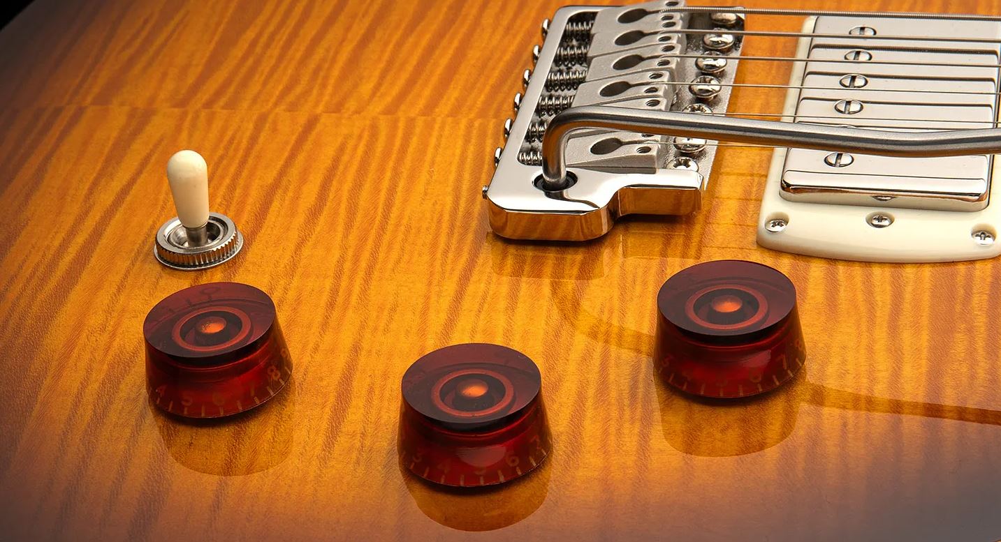 Prs David Grissom Dgt Se Signature Birds 2h Trem Rw - Mccarty Tobacco Sunburst - Guitare Électrique Double Cut - Variation 4