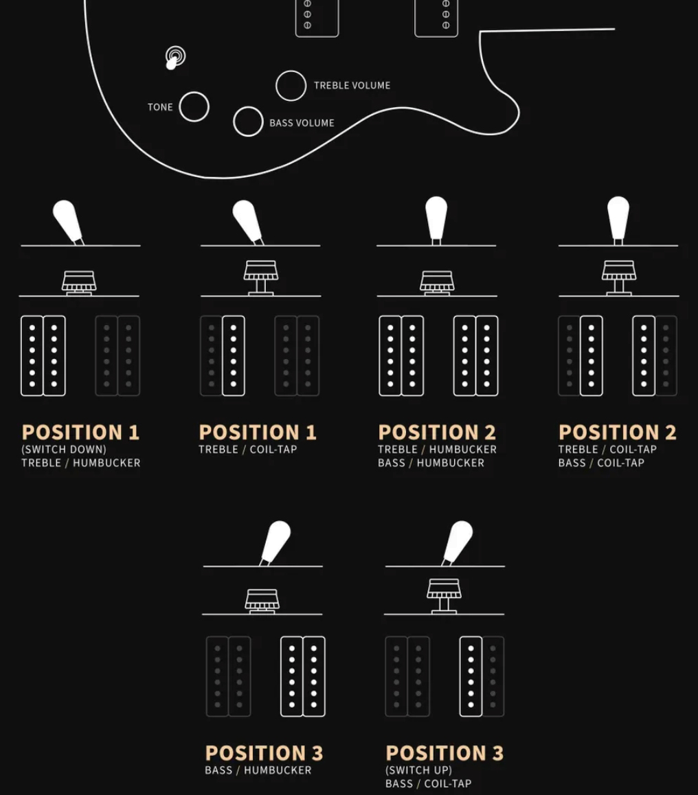 Prs David Grissom Dgt Usa Signature 2h Trem Rw - Gold Top Moon Inlays - Guitare Électrique Double Cut - Variation 2