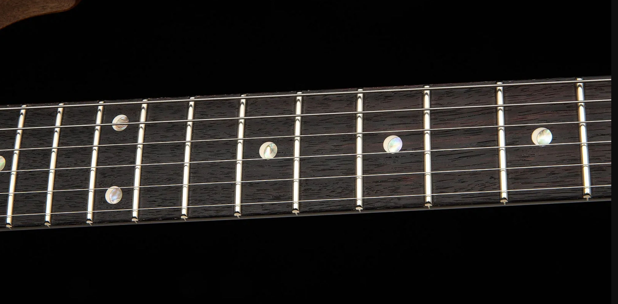 Prs David Grissom Dgt Usa Signature 2h Trem Rw - Tiger Eye - Guitare Électrique Double Cut - Variation 4