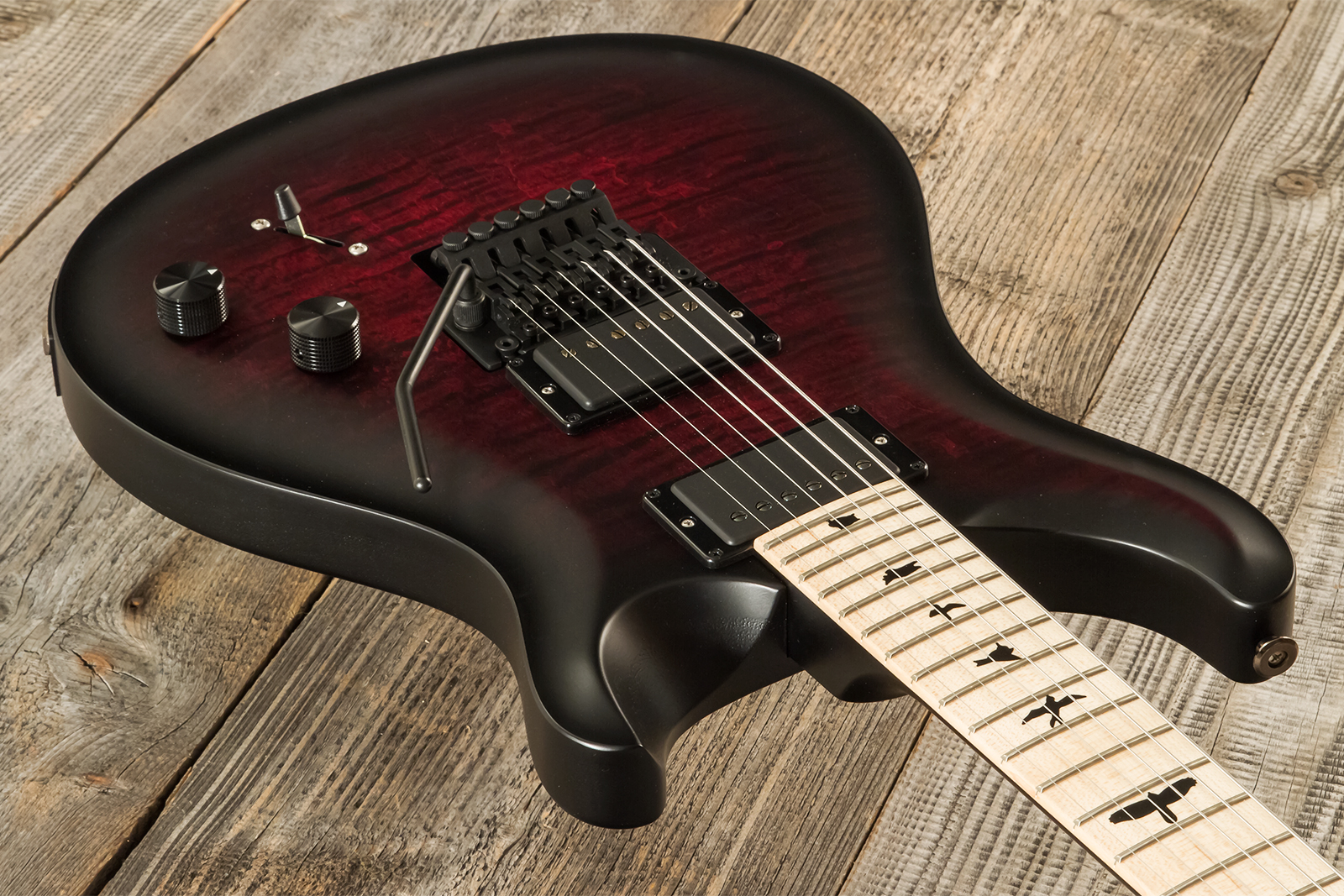Prs Dustie Waring Dw Ce 24 Floyd Bolt-on Usa Signature 2h Fr Mn - Waring Smokeburst - Guitare Électrique Double Cut - Variation 2