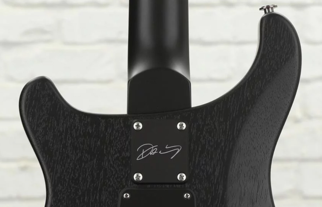 Prs Dustie Waring Dw Ce 24 Floyd Bolt-on Usa Signature 2h Fr Mn - Gray Black - Guitare Électrique Double Cut - Variation 4