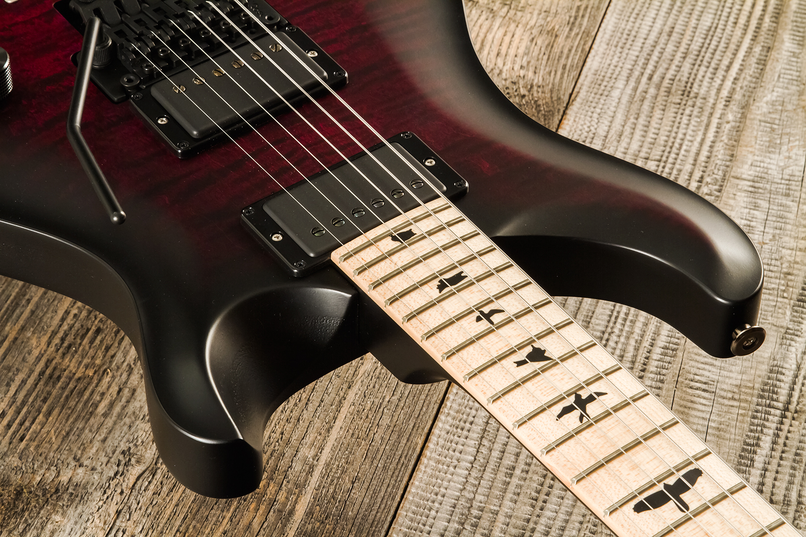 Prs Dustie Waring Dw Ce 24 Floyd Bolt-on Usa Signature 2h Fr Mn - Waring Smokeburst - Guitare Électrique Double Cut - Variation 4