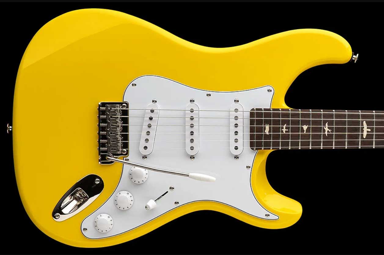 Prs John Mayer Silver Sky Rosewood Se Signature 3s Trem Rw - Dandy Lion - Guitare Électrique Forme Str - Variation 1