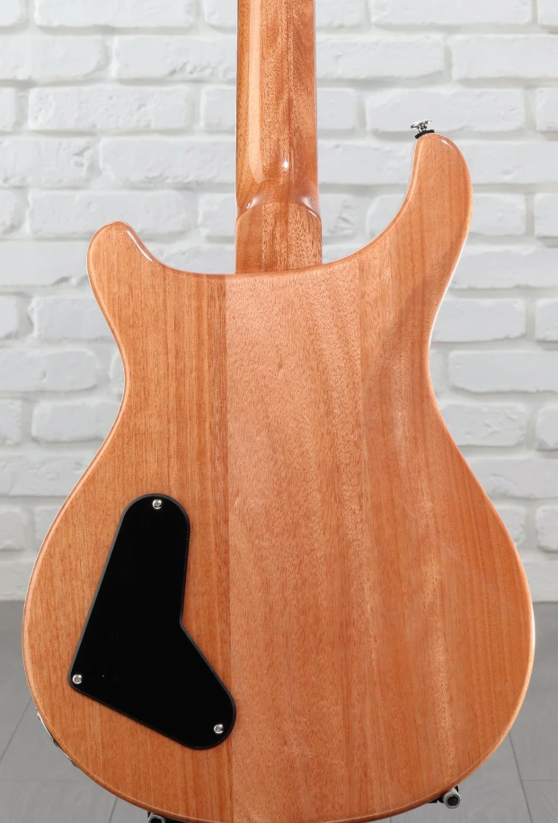 Prs Paul's Guitar Se (wing Tuners) 2h Ht Rw - Slate Blue - Guitare Électrique Double Cut - Variation 5