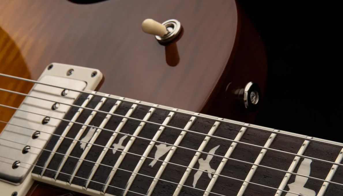 Prs S2 Mccarty 594 Singlecut Usa 2h 58/15lt Ht Rw - Honey Gold Burst - Guitare Électrique Single Cut - Variation 3