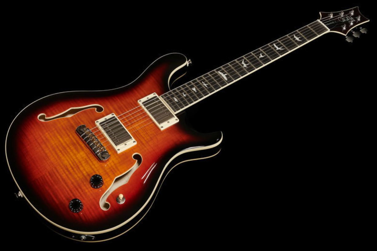 Prs Se Hollowbody Standard 2020 Hh Ht Eb - Tobacco Sunburst - Guitare Électrique Double Cut - Variation 1