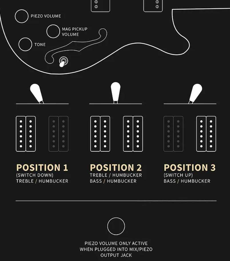 Prs Se Hollowbody Standard Piezo 2h Ht Eb - Dog Hair Smokeburst - Guitare Électrique 1/2 Caisse - Variation 6