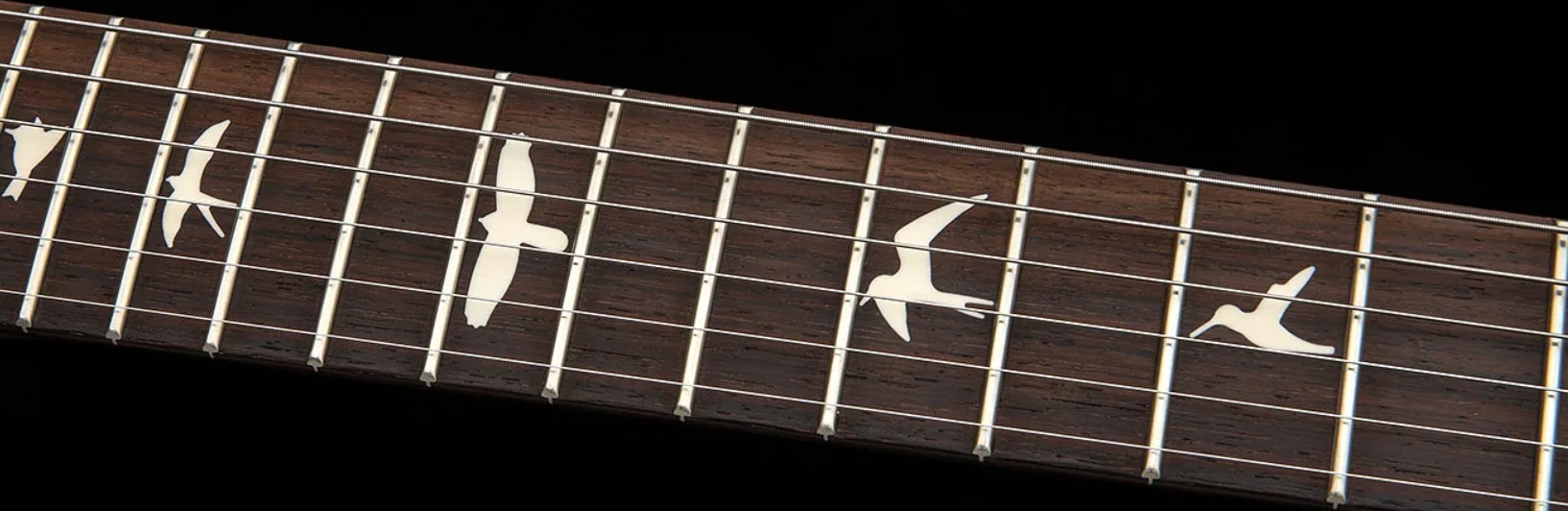Prs Standard 22 S2 Usa 2h Trem Rw - Platinum Metallic - Guitare Électrique Double Cut - Variation 3