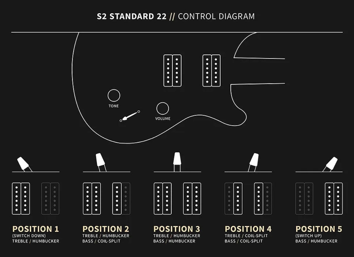 Prs Standard 22 S2 Usa 2h Trem Rw - Platinum Metallic - Guitare Électrique Double Cut - Variation 4