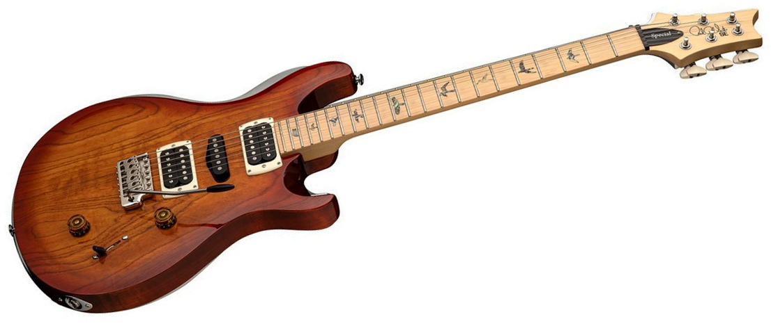 Prs Swamp Ash Special Se (wing Tuners) Hsh Trem Mn - Vintage Sunburst - Guitare Électrique Double Cut - Variation 1