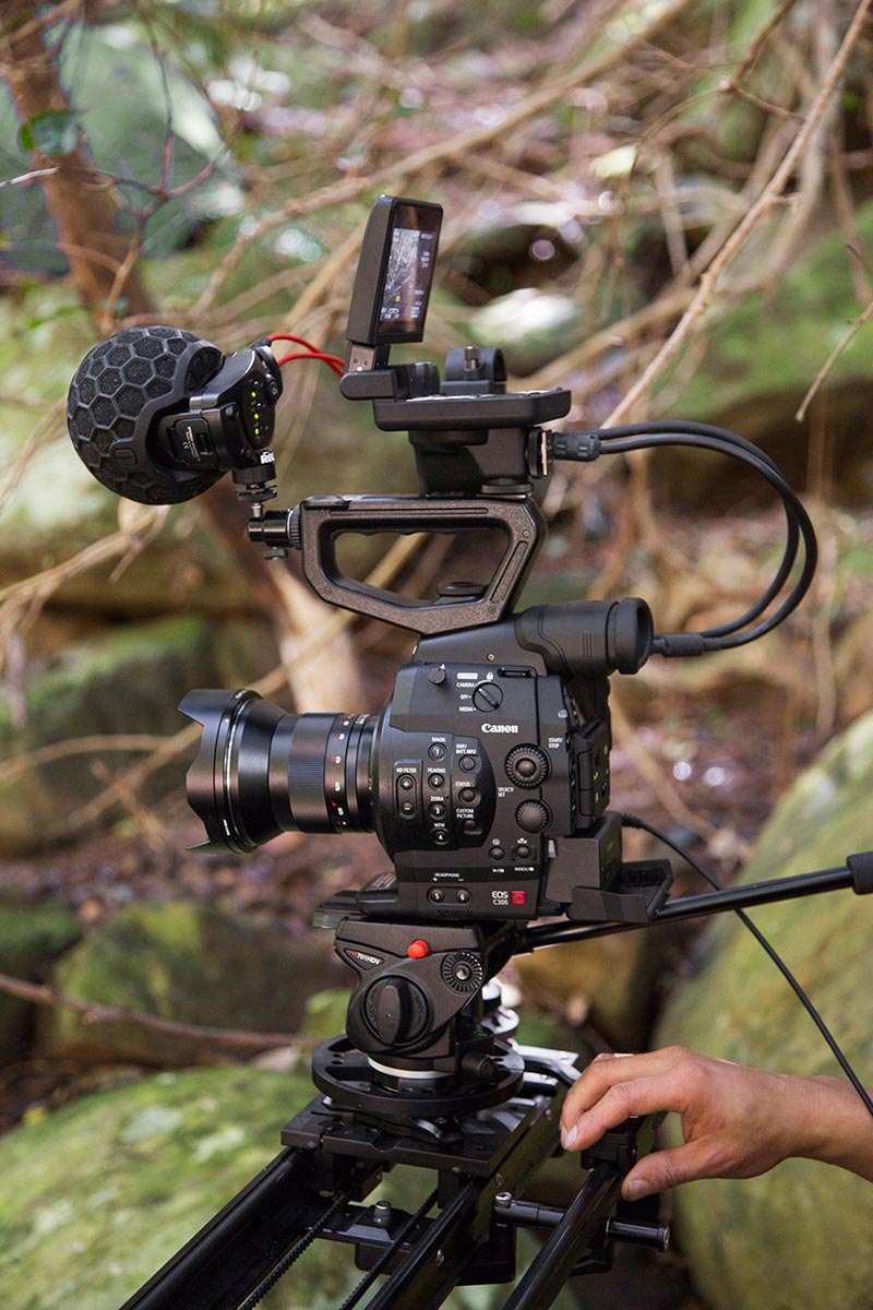 Rode Stereo Video Mic X - Micro Camera - Variation 2