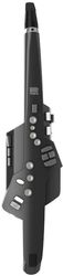 Aerophone AE-10G