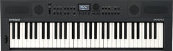 Clavier arrangeur  Roland GO:KEYS5-GT