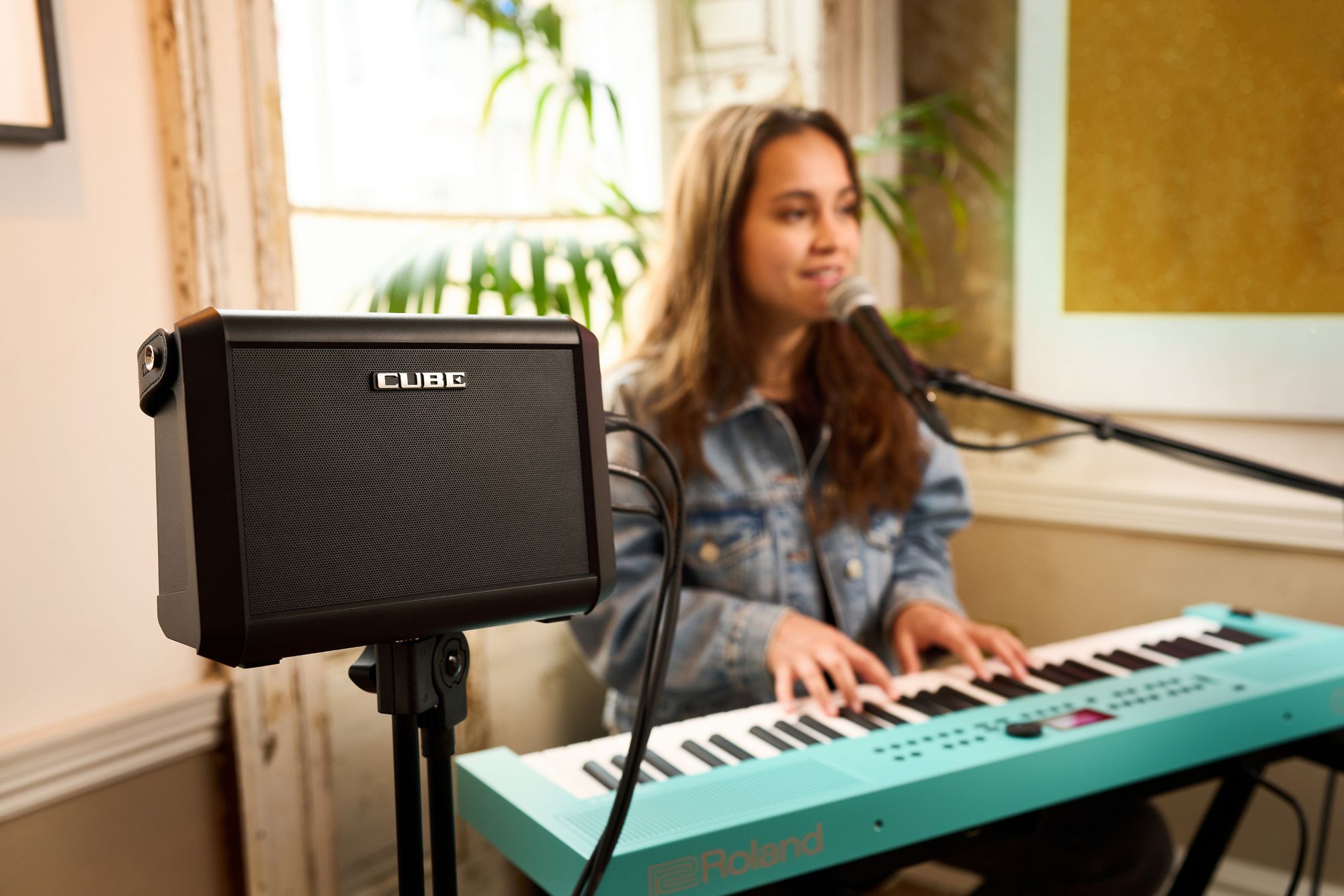 Roland Cube Street Mini Multi-instrument Battery Amplifier - Sono Portable - Variation 4