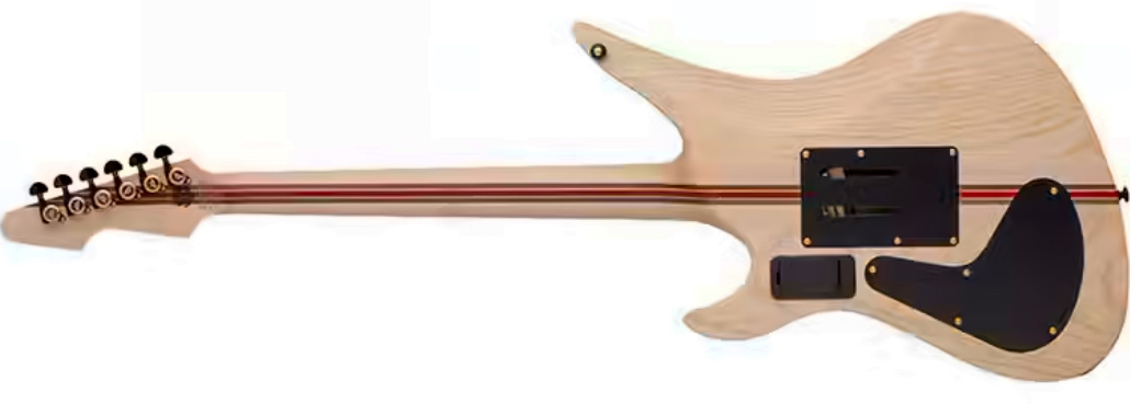 Schecter Avenger Fr-s 50th Ann. 2h Sustainiac Fr Eb - 50th Gold Burst - Guitare Électrique MÉtal - Variation 1