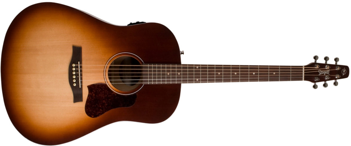 Seagull Entourage Presys Ii Dreadnought Epicea Merisier Rw - Autumn Burst - Guitare Electro Acoustique - Main picture