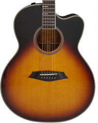 Larry Carlton A4-G - vintage sunburst