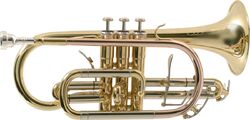 Cornet professionnel Sml CO870-L