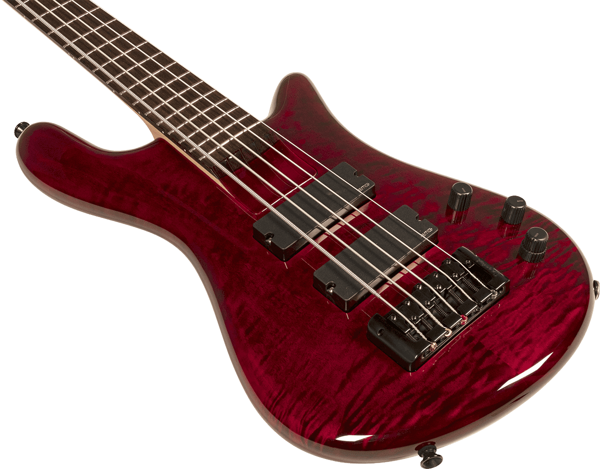 Spector Bantam 5c Diapason Court Active Emg Rw - Black Cherry - Basse Électrique Solid Body - Variation 1