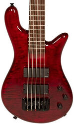 Basse électrique solid body Spector                        Bantam 5 - Black cherry