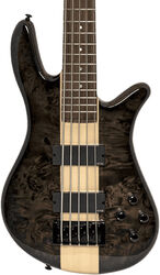 Basse électrique solid body Spector                        Dan Briggs NS-2000/5 - Black/walnut stain