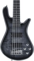 Basse électrique solid body Spector LEGEND SERIE STANDARD 5 HH EB - Black stain