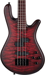 Basse électrique solid body Spector NS Pulse II 4 - Black cherry matte