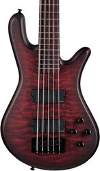 Basse électrique solid body Spector                        NS Pulse II 5 - Black cherry matte