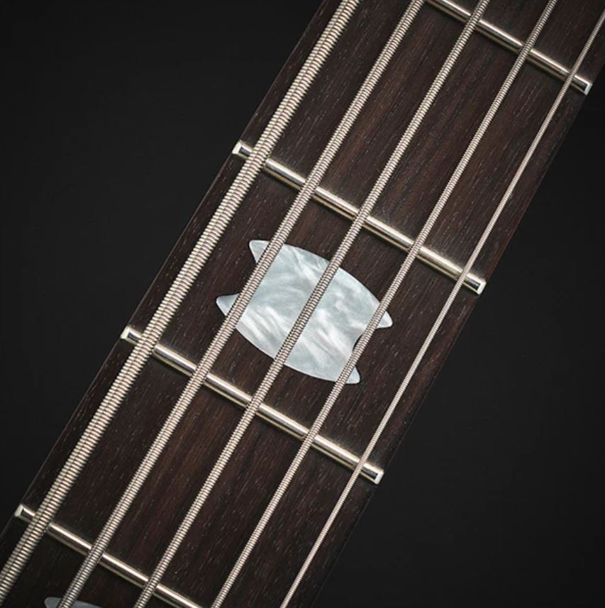 Spector Icon Ns-2 Bolt-on 5-cordes Rw - Black Stain Gloss - Basse Électrique Solid Body - Variation 3