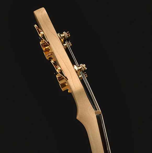 Spector Icon Ns-2 Bolt-on Rw - Black Stain Gloss - Basse Électrique Solid Body - Variation 3