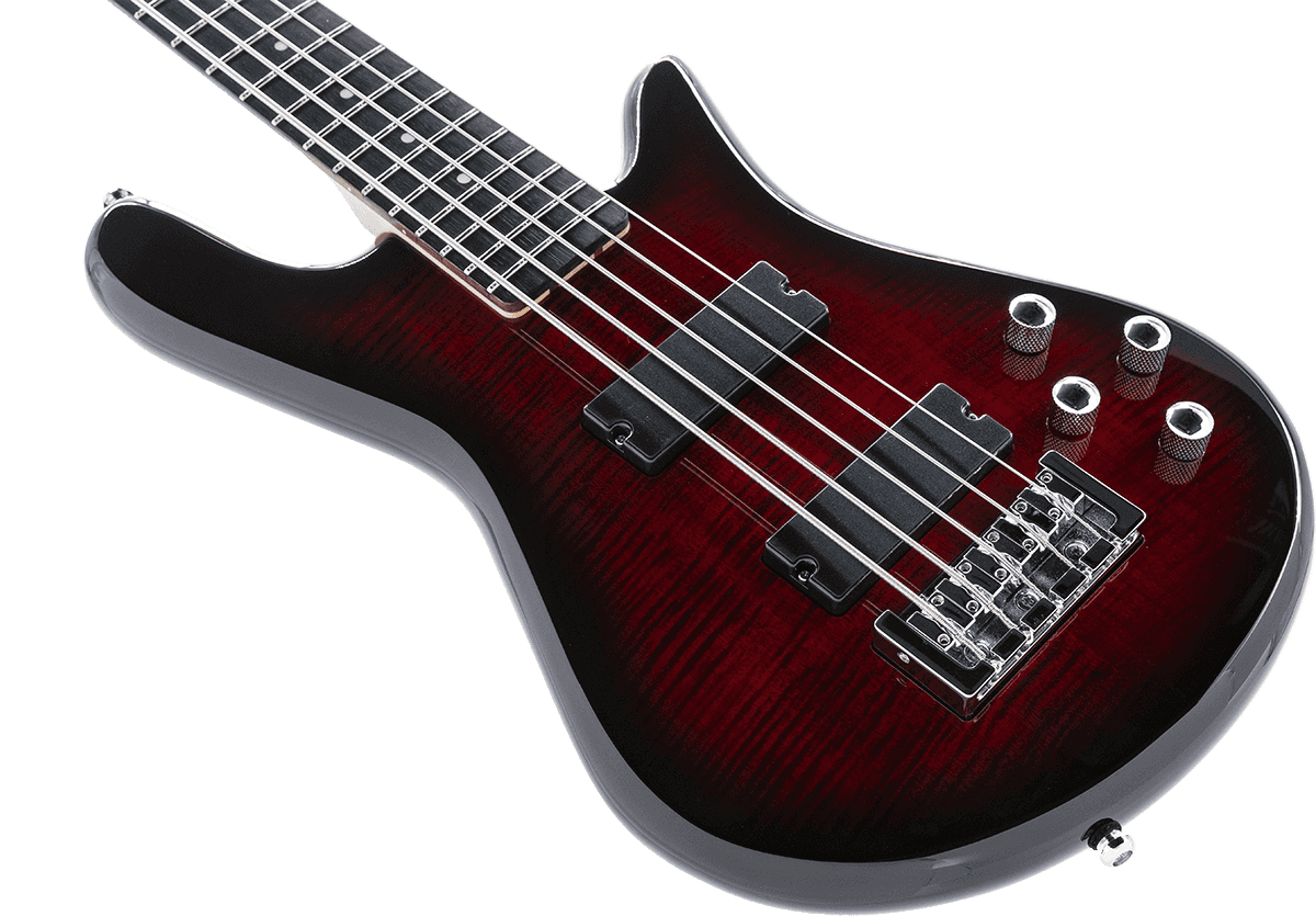 Spector Legend Serie Standard 5 Hh Eb - Black Cherry - Basse Électrique Solid Body - Variation 2