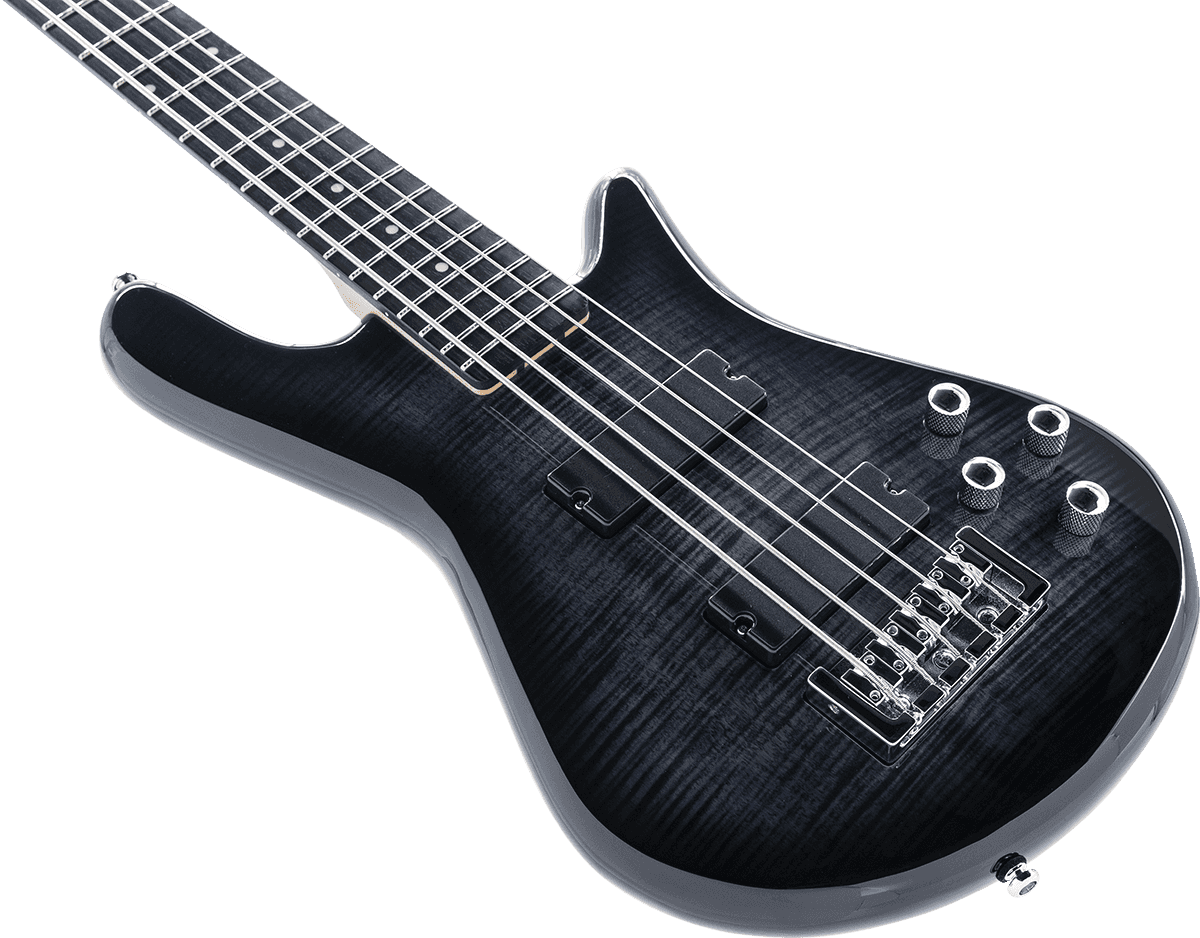 Spector Legend Serie Standard 5 Hh Eb - Black Stain - Basse Électrique Solid Body - Variation 2