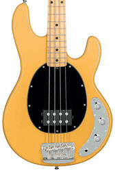 Basse électrique solid body Sterling by musicman Stingray Classic RAY24CA (MN) - Butterscotch