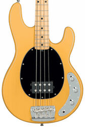 Basse électrique solid body Sterling by musicman Stingray Classic RAY24CA (MN) - butterscotch