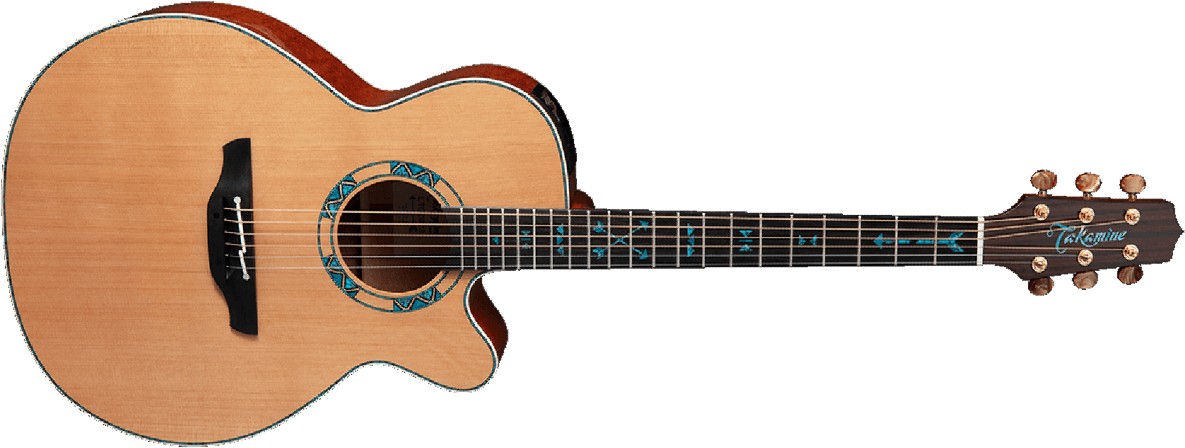 Takamine Nex Santa Fe 30th Anniversary Cw Cedre Chene Eb - Natural - Guitare Electro Acoustique - Main picture