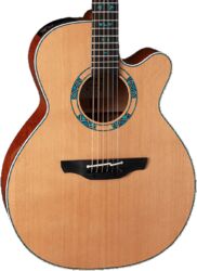 Guitare folk Takamine Nex Santa Fe 30th Anniversary - Natural