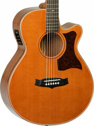 Guitare folk Tanglewood TW45 H E Heritage