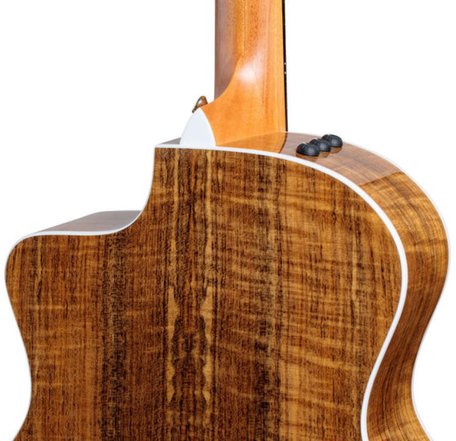 Taylor 214ce-fo Dlx Grand Auditorium Cw Epicea Ovangkol Es2 - Natural - Guitare Electro Acoustique - Variation 3