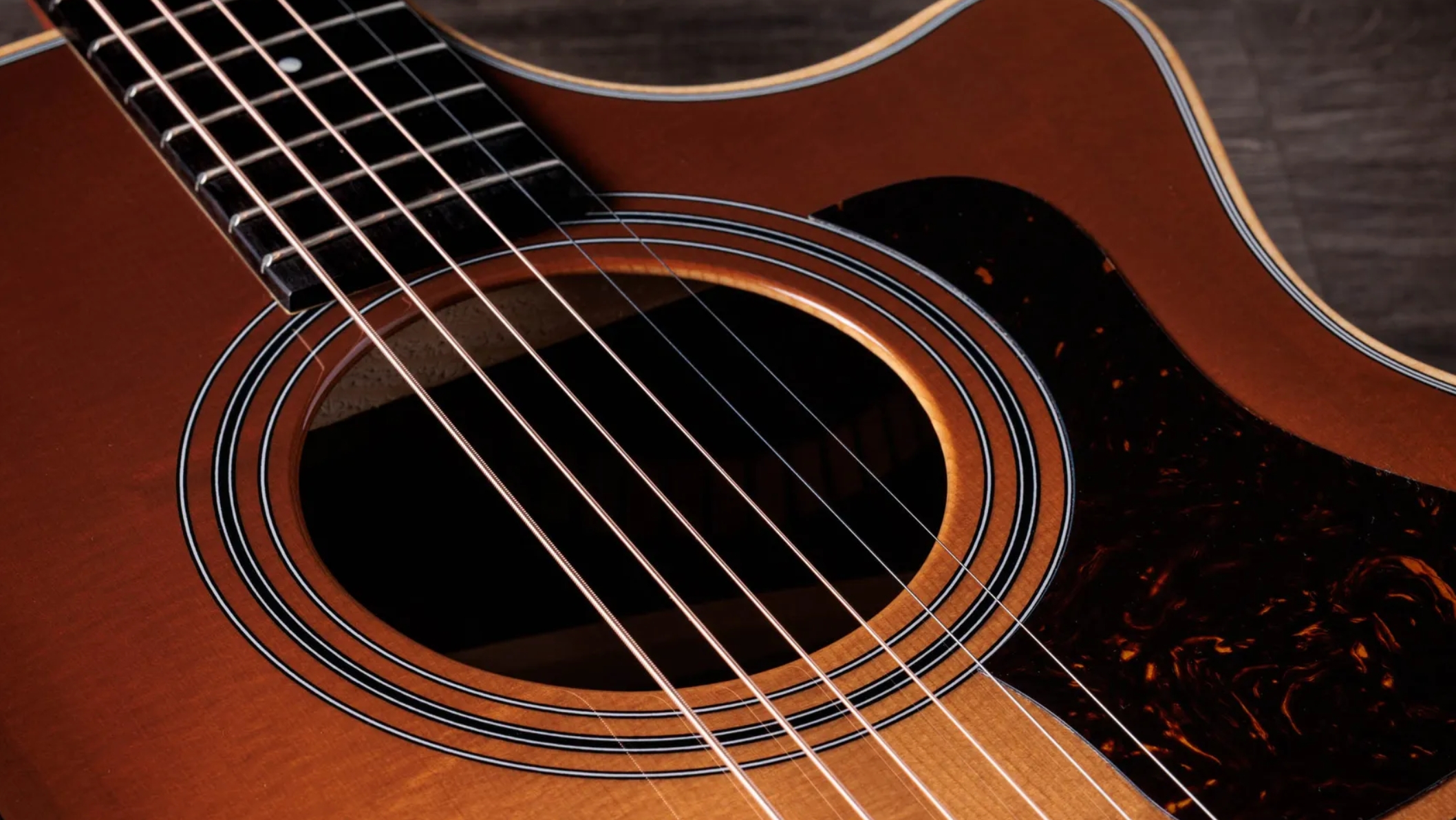 Taylor 414ce Studio Special Edition Grand Auditorium Cw Epicea Palissandre Eb Es2 - Honeyburst - Guitare Folk - Variation 3