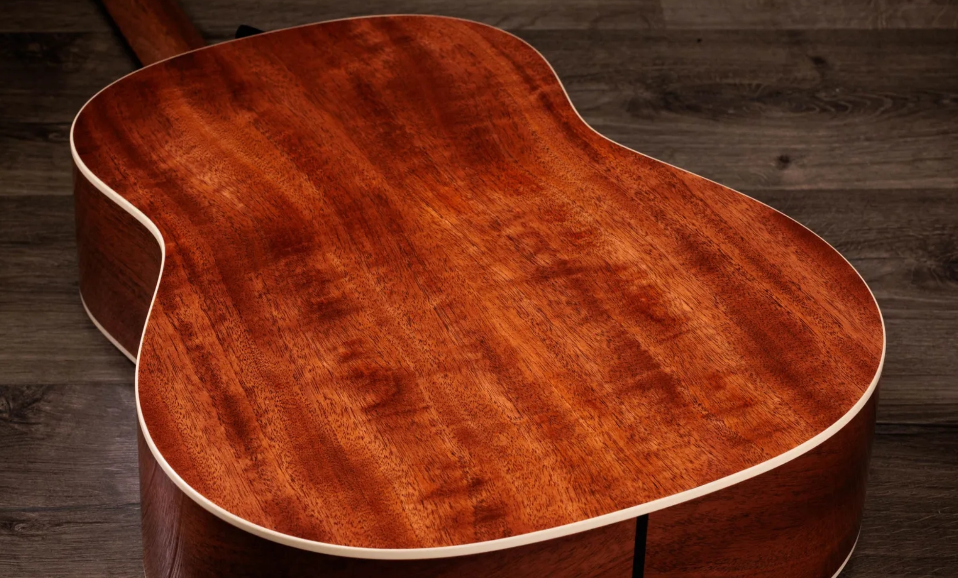 Taylor 517e Gold Label Grand Pacific Epicea Acajou Eb - Natural - Guitare Folk - Variation 7