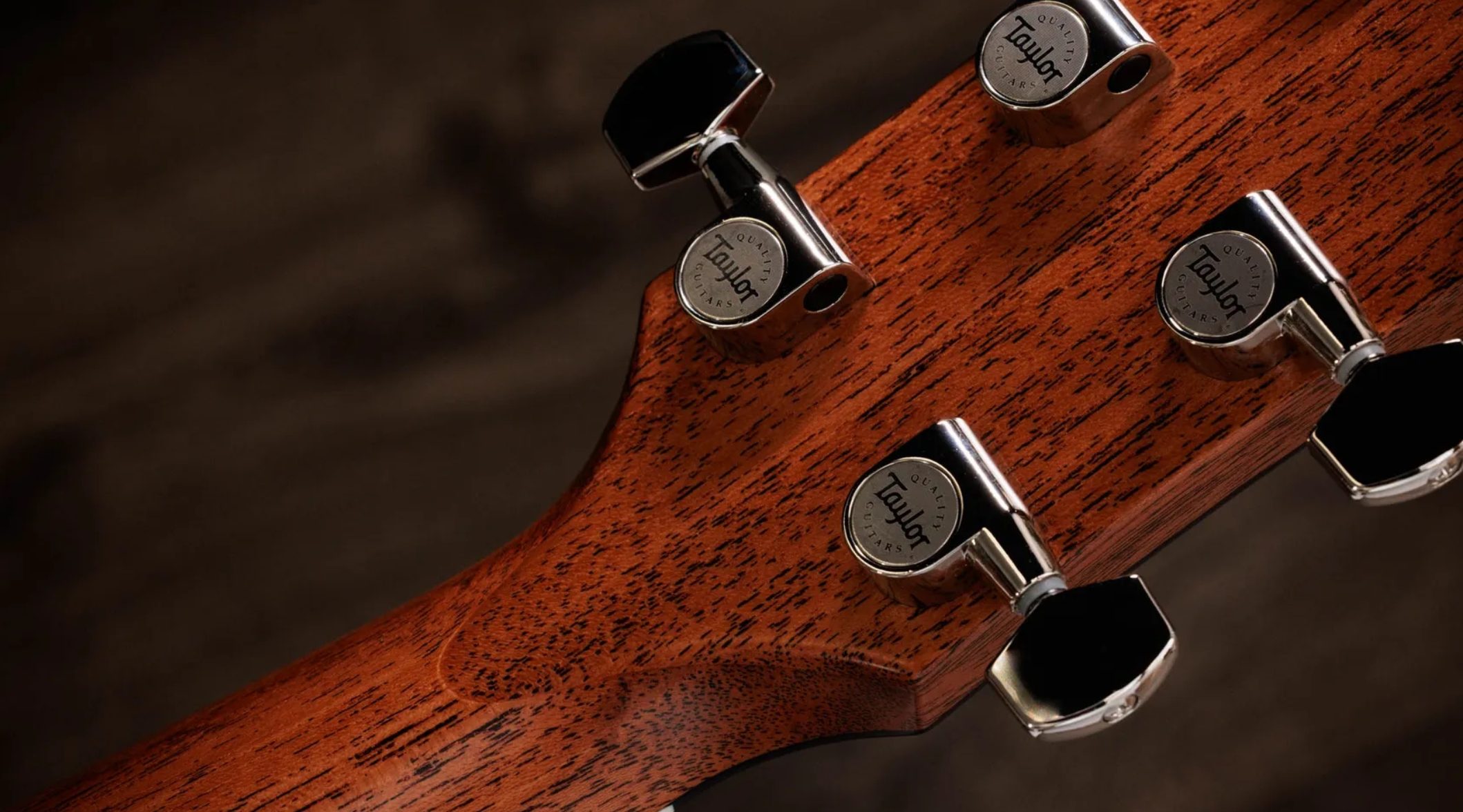 Taylor 517e Gold Label Grand Pacific Epicea Acajou Eb - Blacktop - Guitare Folk - Variation 7