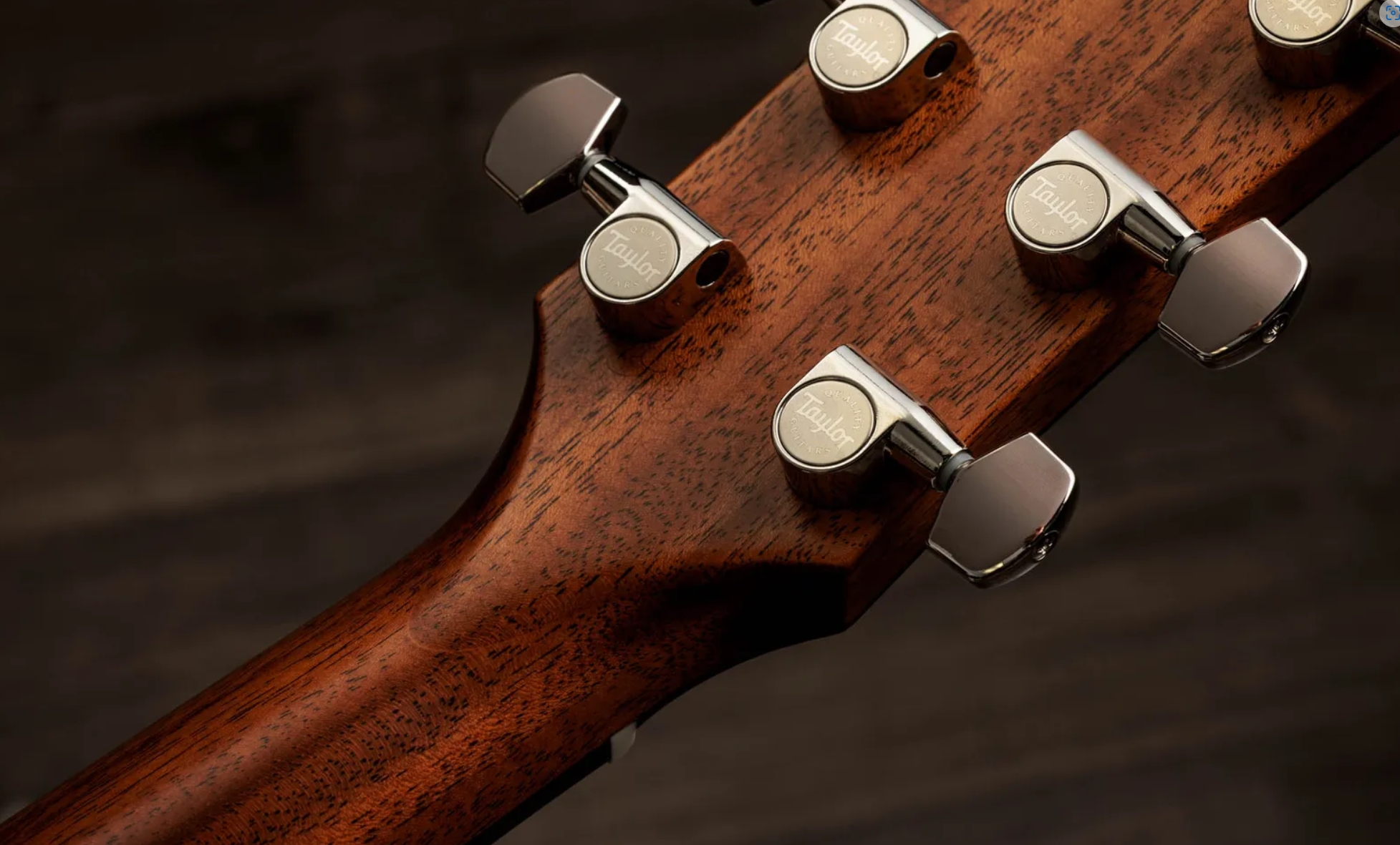 Taylor 517e Sb Gold Label Grand Pacific Epicea Acajou Eb - Sunburst W/ Cream Pickguard - Guitare Folk - Variation 9