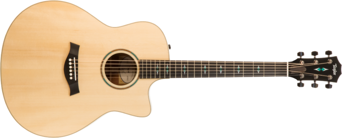 Taylor Custom GO-ce #1203040117 - Natural